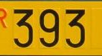 BW 393 YS ripetitrice